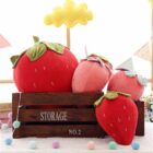 COUSSIN FRAISE ENFANT