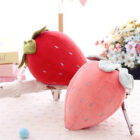 COUSSIN FRAISE ENFANT